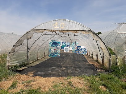 Potager De Paco, Primeur Fruits et Légumes à Pact