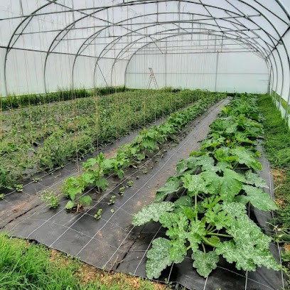 Les Jardins D'Ao, Primeur Fruits et Légumes à Passy