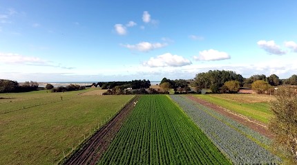 Les Jardins de Lingreville, Primeur Fruits et Légumes à Annoville