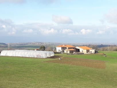 Légumes Bio Roanne : Le Potager des 3 fées, Primeur Fruits et Légumes à Vendranges