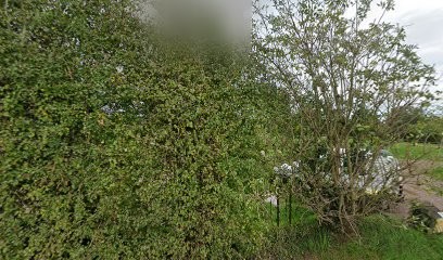 Roussel Alexandre Dominique Etienne, Primeur Fruits et Légumes à Martainville