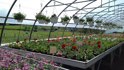 Au Mas Fleuri, Primeur Fruits et Légumes à Nexon