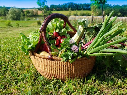 Jardins De Cocagne De Fleurance, Primeur Fruits et Légumes à Fleurance