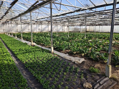 Le Potager De L'Epinay, Primeur Fruits et Légumes à Orcemont