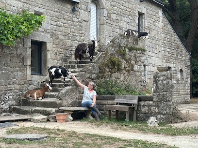 La Ferme De Marlac'h, Primeur Fruits et Légumes à Meslan