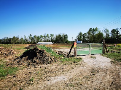 Le Jardin Des Illottes, Primeur Fruits et Légumes à Drambon