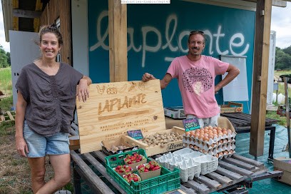 Laplante, Primeur Fruits et Légumes à Arengosse