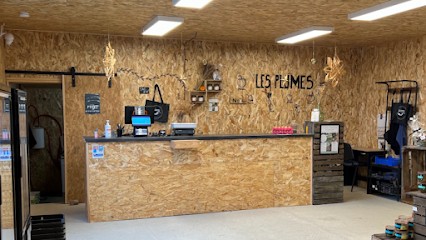 LES PLUMES, Primeur Fruits et Légumes à Beaurepaire