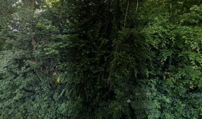 Les Jardins Des Mondrots, Primeur Fruits et Légumes à Saint-Victor-l'Abbaye