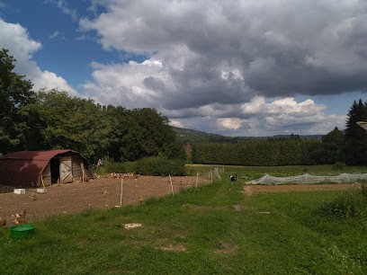 Le Jardin Des Érauges, Primeur Fruits et Légumes à Guyans-Vennes