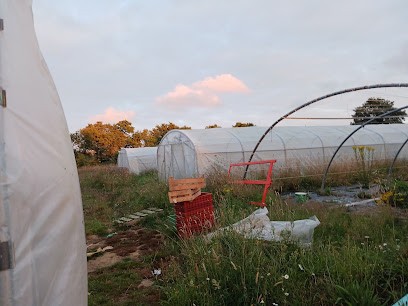 La Ferme des petites Rallières, Primeur Fruits et Légumes à Challans