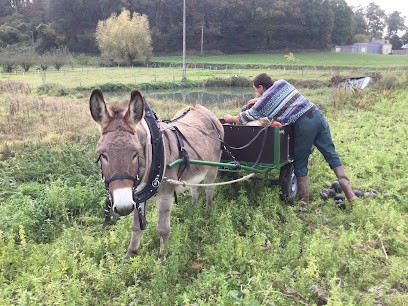 Potager de Cumeray, Primeur Fruits et Légumes à Gennes-Val-de-Loire