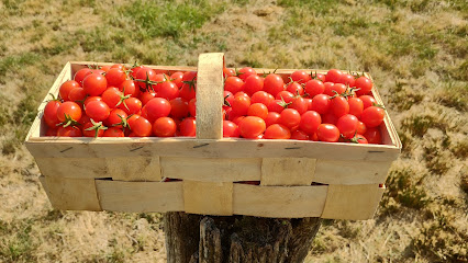 La Poule Maraîchère Primeur - Fruits Et Légumes à Availles-Limouzine