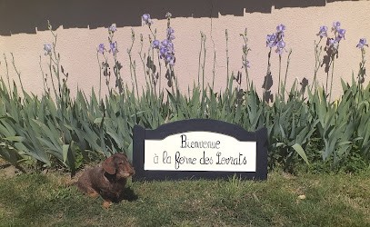 La Ferme Des Levrats, Primeur Fruits et Légumes à Simandre