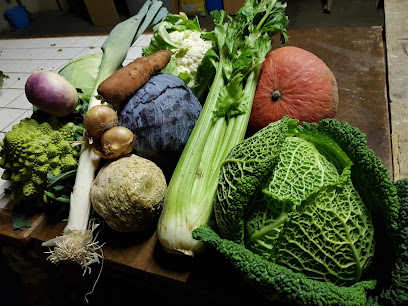 Terrier Primeur - Fruits Et Légumes à Loire-Authion