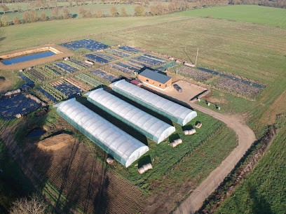 Les Jardins Du Puyrajoux, Primeur Fruits et Légumes à Venansault
