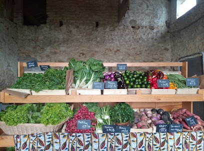 Ferme De Peyrard, Primeur Fruits et Légumes à Onard