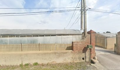 Llantia Bernard, Primeur Fruits et Légumes à Perpignan