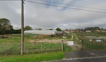 PLAT net GREEN, Primeur Fruits et Légumes à Amilly