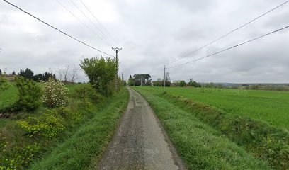 Les Delices Du Lauragais, Primeur Fruits et Légumes à Montgaillard-Lauragais