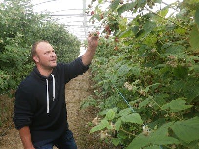 Maison Rolandeau, Primeur Fruits et Légumes à Montrevault-sur-Èvre