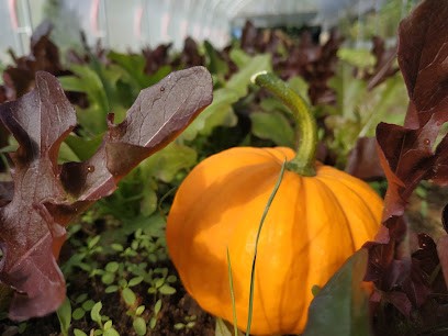 Le Jardin Petit Rond, Primeur Fruits et Légumes à Changé