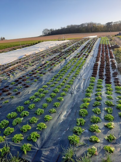 La Ferme De Maffliers, Primeur Fruits et Légumes à Maffliers
