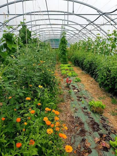 Les Jardins De La Ravie, Primeur - Fruits Et Légumes à Trelins