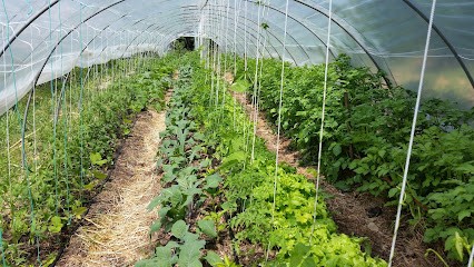 Le Jardin Des Gonnettes, Primeur Fruits et Légumes à Saint-Pierre-de-Bressieux