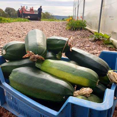 La Ferme D'arthur Primeur - Fruits Et Légumes à Livarot-Pays-d'Auge