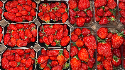 Croq Primeur, Primeur - Fruits Et Légumes à Saint-Jean