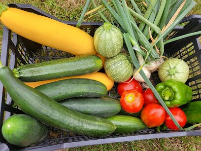 Le Jardin De La Butt’ à Vent, Primeur Fruits et Légumes à Saint-Georges-Buttavent