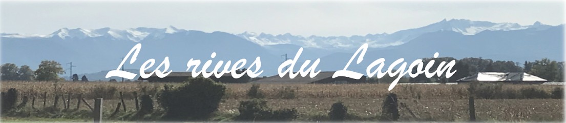 EARL Rives du Lagoin, Primeur Fruits et Légumes à Meillon