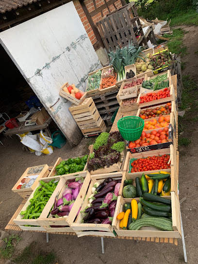 Les Maraîcheurs-Les Jardins, Primeur - Fruits Et Légumes à Pierrefitte-sur-Sauldre