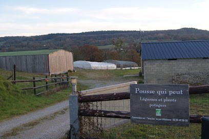 Pousse qui peut, Primeur Fruits et Légumes à Torcé-Viviers-en-Charnie