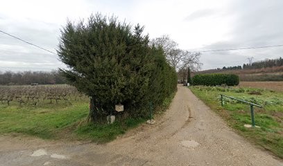 Comte Philippe, Primeur Fruits et Légumes à Châteauneuf-du-Rhône