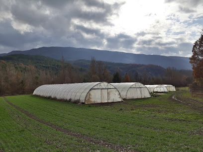 Ferme Des Poites Gaec, Primeur - Fruits Et Légumes à Salérans