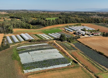 Parenthèse - Graine De Cocagne, Primeur Fruits et Légumes à Saint-Marcel-lès-Valence