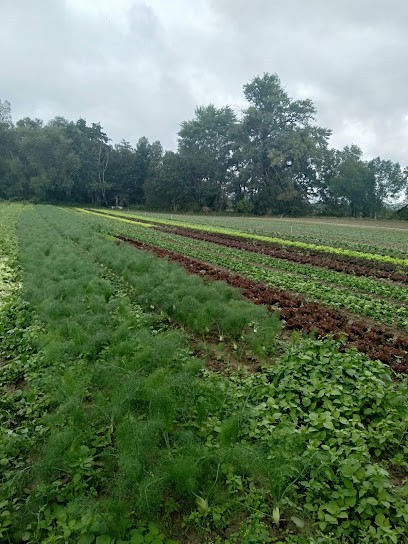 Liliom Dupuy Repreneur De Ruet Martial, Primeur Fruits et Légumes à Taponas