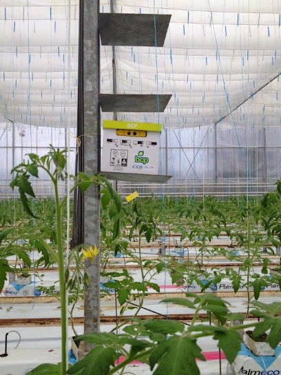 Scea Serres La Brasardiere, Primeur Fruits et Légumes à Mordelles