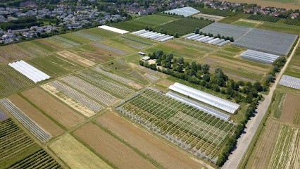 Cueillette De Servigny, Primeur Fruits et Légumes à Lieusaint