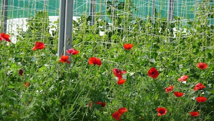 La Ferme De Coët-Navalen, Primeur Fruits et Légumes à Sulniac