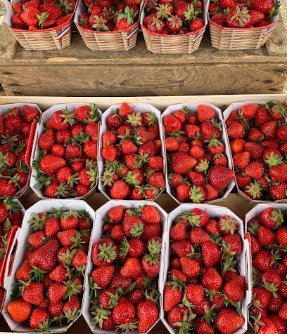 LE CERCLE DES PRODUCTEURS, Primeur Fruits et Légumes à Vertaizon