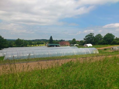 Folleas Philippe, Primeur Fruits et Légumes à La Guiche