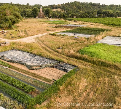 Les Jardins De Saint Victor, Primeur Fruits et Légumes à Coufouleux