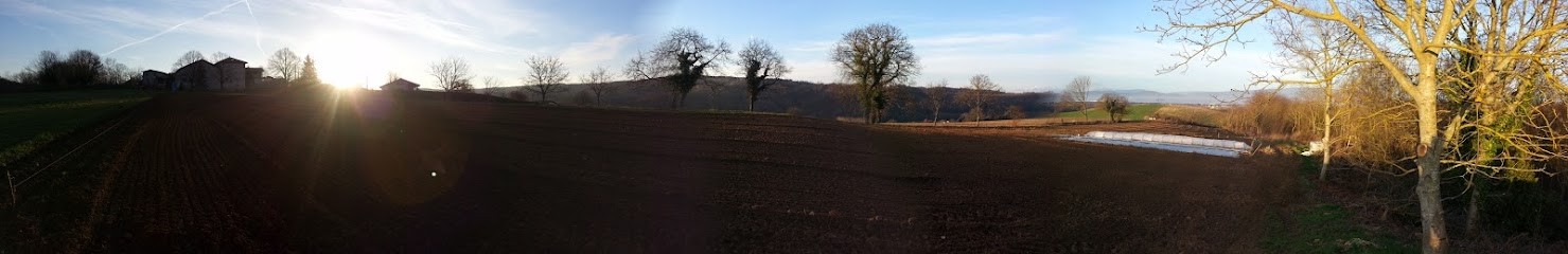 Au Jardin Des Michel'S, Primeur Fruits et Légumes à Saint-Romain-de-Surieu