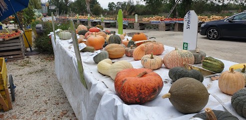 Audineau, Primeur Fruits et Légumes à Vix