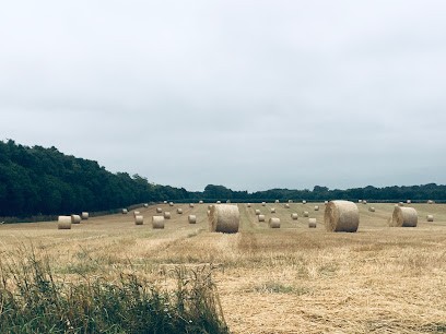 Jardi Cueff, Primeur Fruits et Légumes à Saint-Yvi
