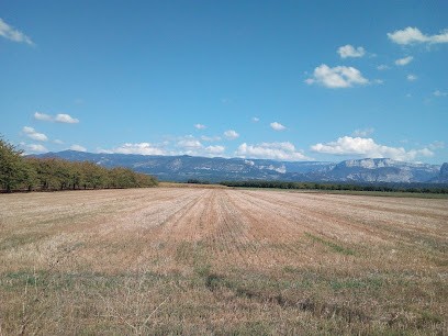 Fatoux Cyrille, Primeur Fruits et Légumes à Saint-Hilaire-du-Rosier