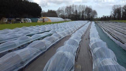 Les Fraises Des Vignes, Primeur Fruits et Légumes à Saint-Méloir-des-Bois